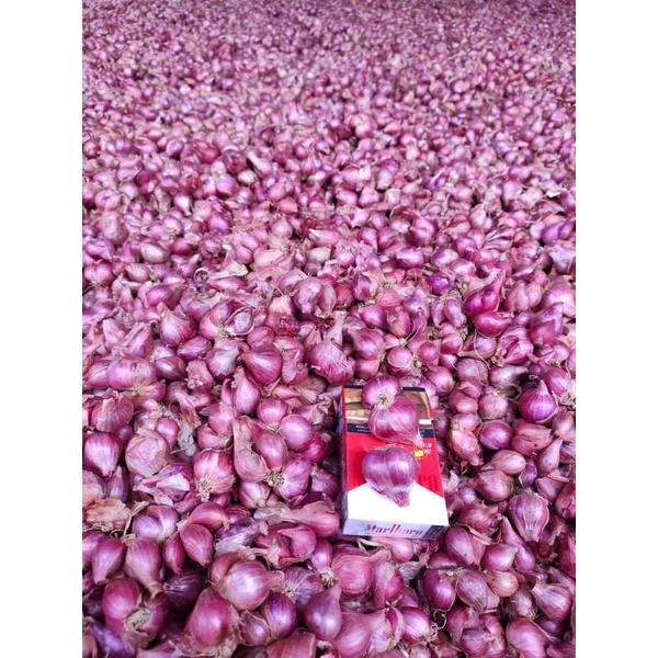 

Bawang merah lokal asli Kediri Nganjuk 1KG