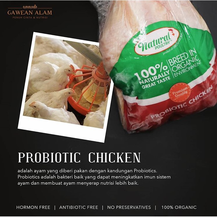 

Organic Chicken Probiotic - Ayam Organik Probiotik (900-1100 gram)