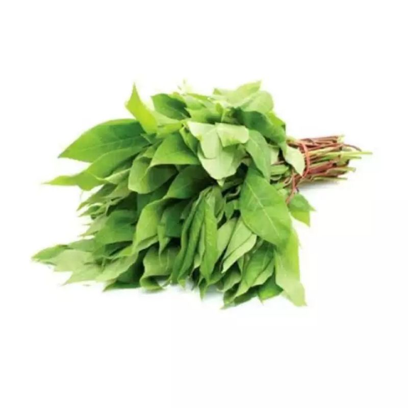 

Daun singkong segar per ikat 1kg daun singkong karet