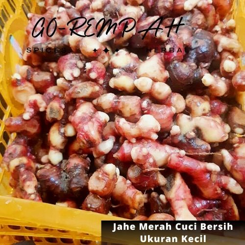 

JAHE MERAH SUDAH DICUCI BERSIH - size kecil 500 gram