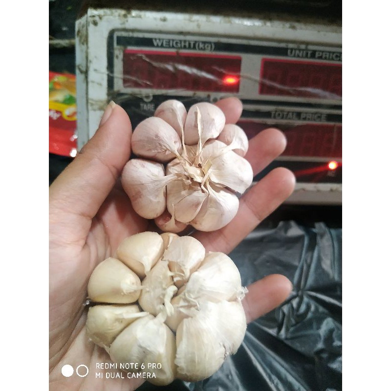 

Bawang Putih 100gr dan 250gr