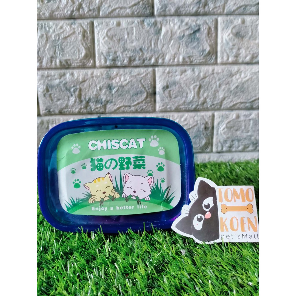 RUMPUT GANDUM UNTUK KUCING - MAKANAN KUCING