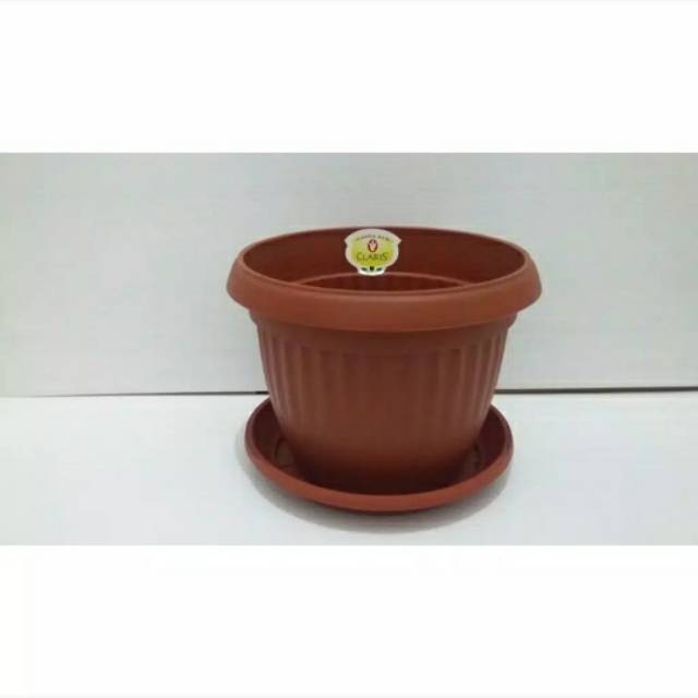  Pot  Bunga  Tanaman CLARIS  FLORENCE 18cm tatakan bawah 