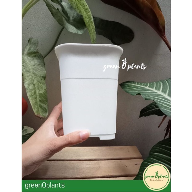 Pot Bunga Tanaman Plastik NKT Kotak 12 Putih