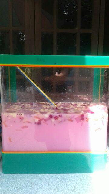 Aquarium Es Kelapa Besar Acrylic Es Buah + Gayung Lion Star Lionstar