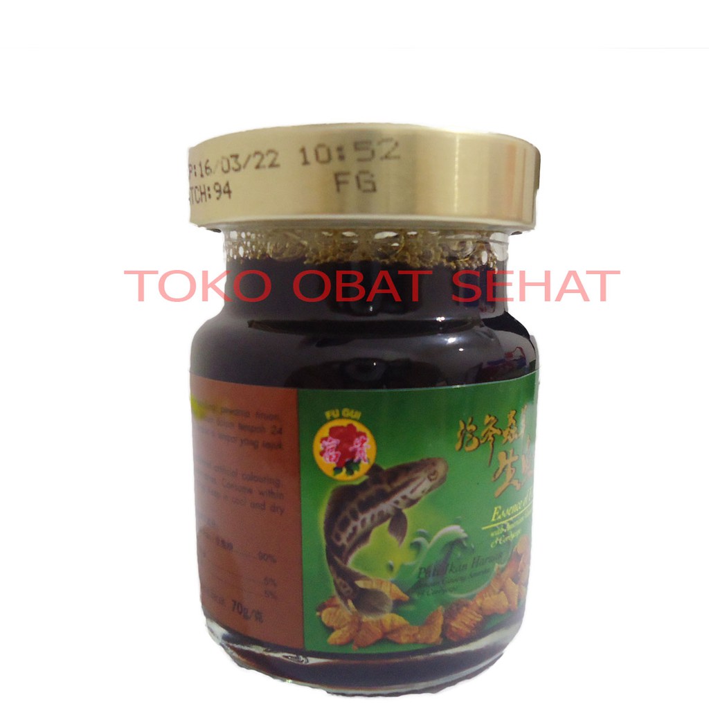 FU GUI - SARI IKAN GABUS obat luka setelah operasi - stamina herbal