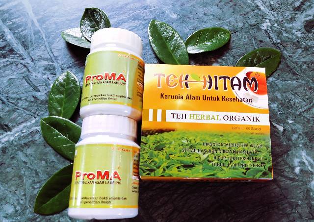 Obat Asam Lambung Maag Akut Maag Kronis Radang Infeksi Lambung Infeksi Usus, ProMA Original THE BEST-2