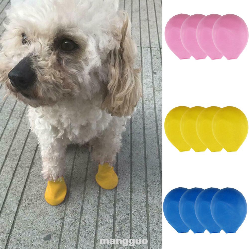rubber dog boots