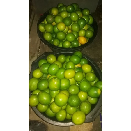 

#1buahjeruk lemon segar 1 kg