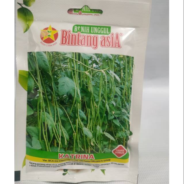 Kacang panjang katrina sp (small pouch)