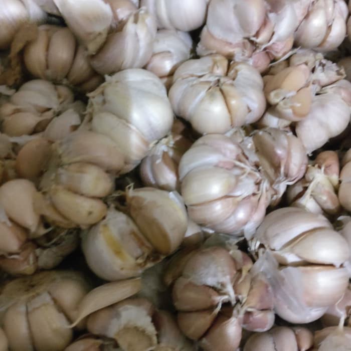 

BAWANG PUTIH HONAMBANCI BERSIH 1KG1000GR