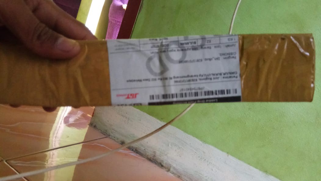 Bibit Aglonema Legacy Salju Murah