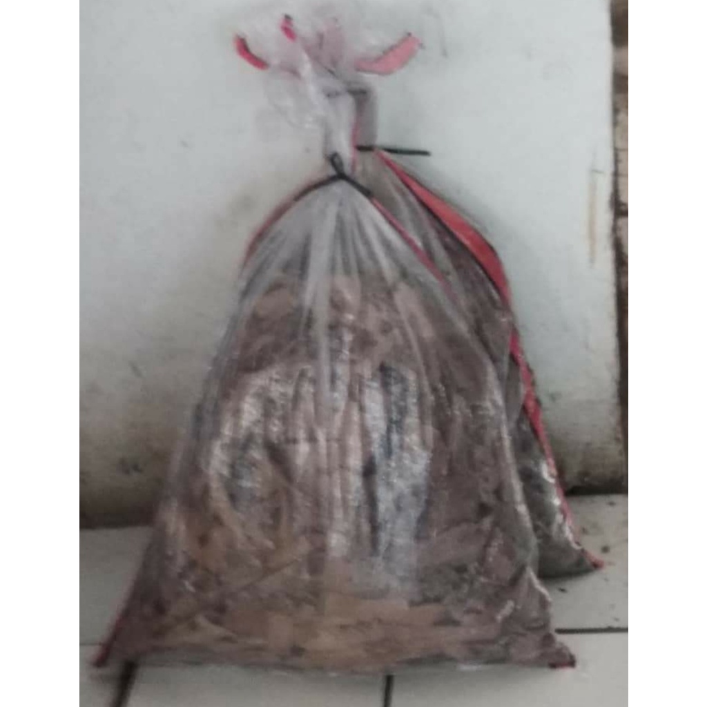 Jangkrik Alam 1 Kg