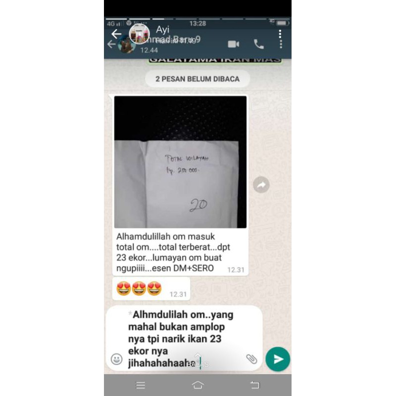 Essen oplosan jitu DM 15ml khusus ikan mas dan patin