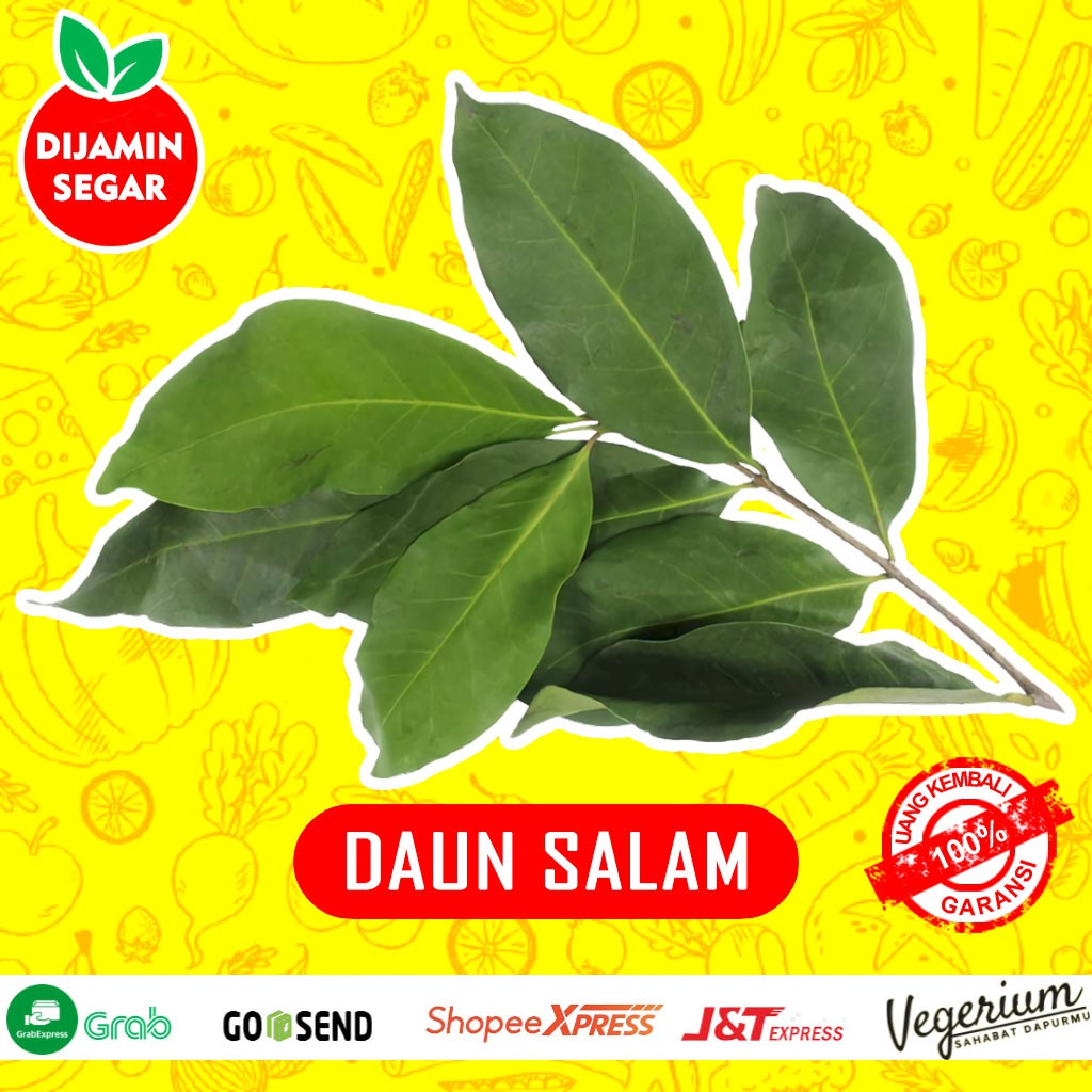 

Daun Salam Sayur Sayuran Segar Bumbu Dapur Penyedap Rasa Per Ikat