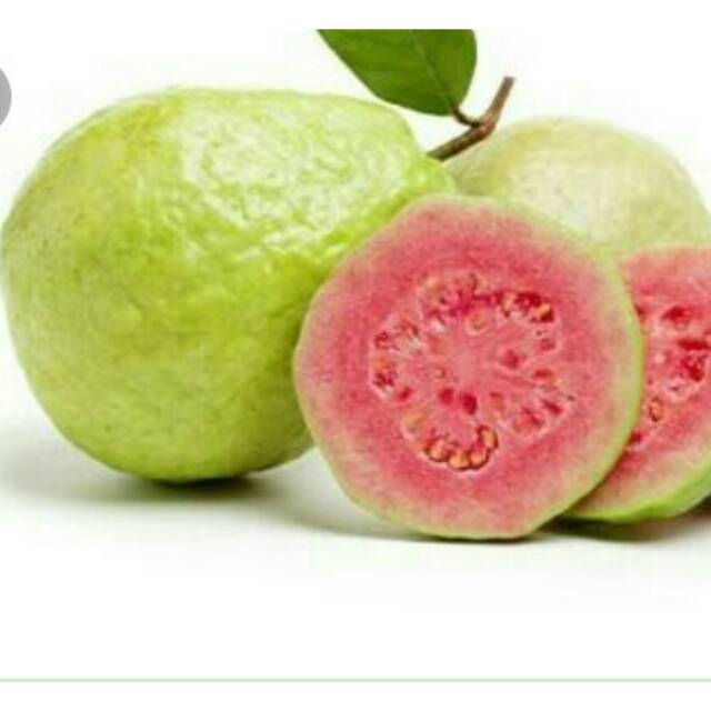 

Jambu biji isi 1kg