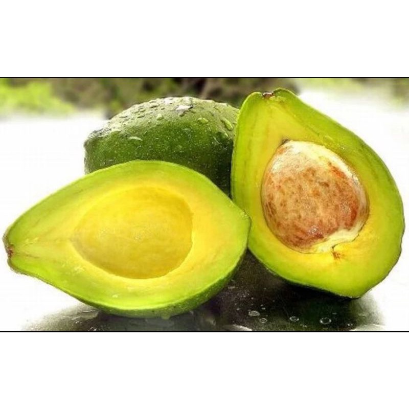 

Alpukat Mentega Medium