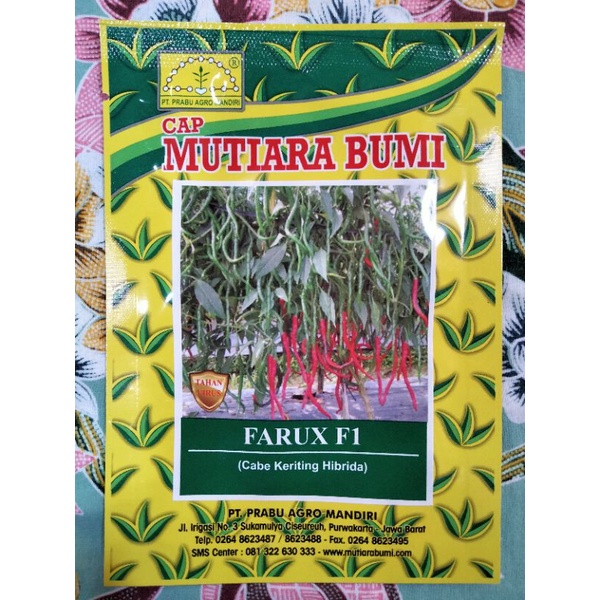 Benih Cabe Merah Keriting FARUX F1 Kemasan 10 Gram - CMK FARUX F1 - Bibit Cabe FARUXF1 farox F1 paru