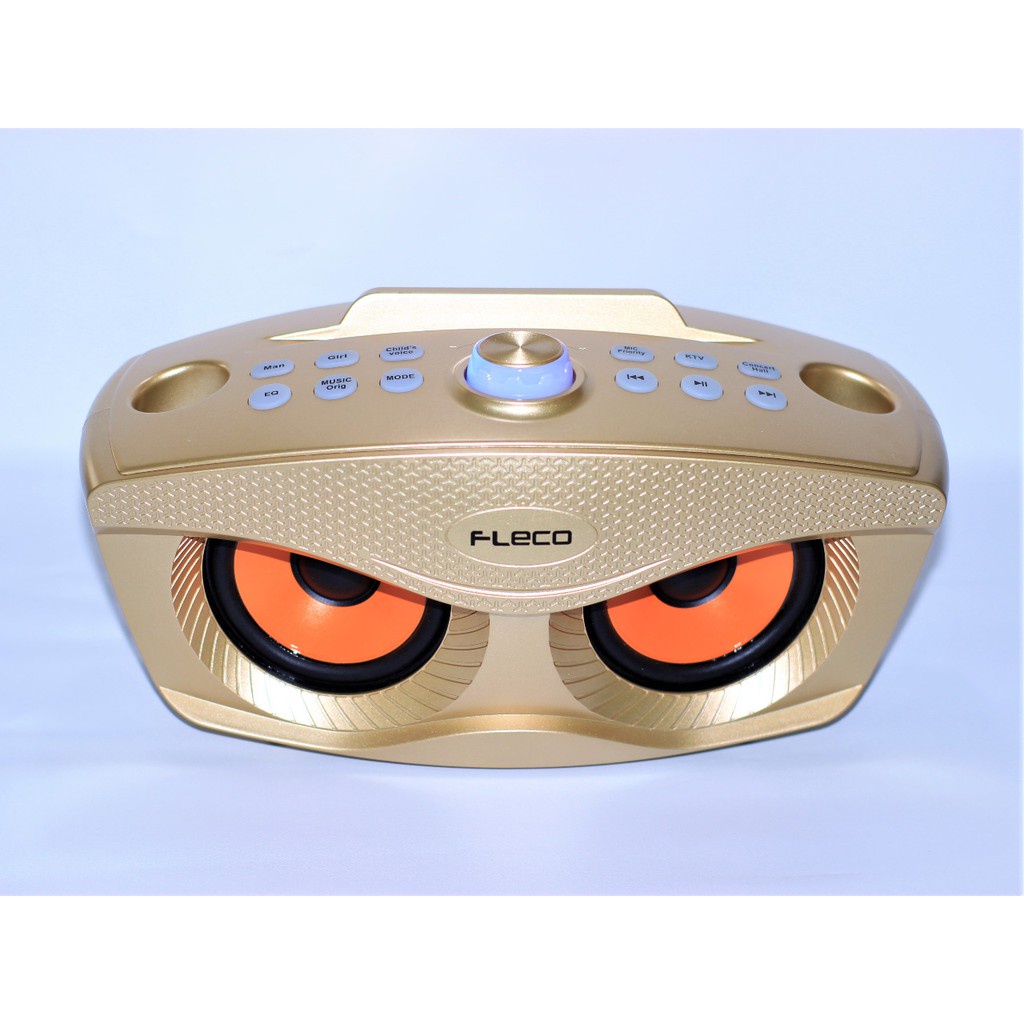 FLECO FL 311 Karaoke Speaker dengan 2 Mikrofon Bluetooth