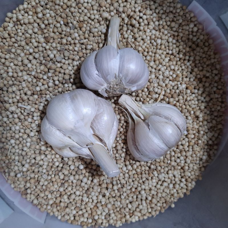 

bawang kating 250 gram
