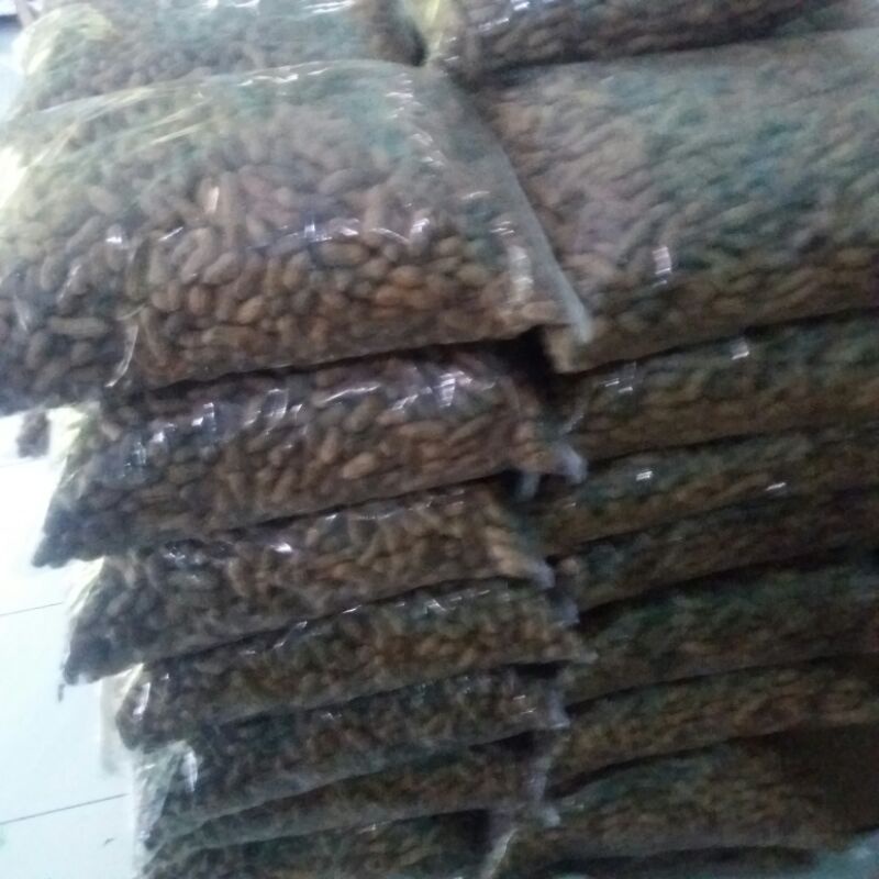 

kacang sangrai