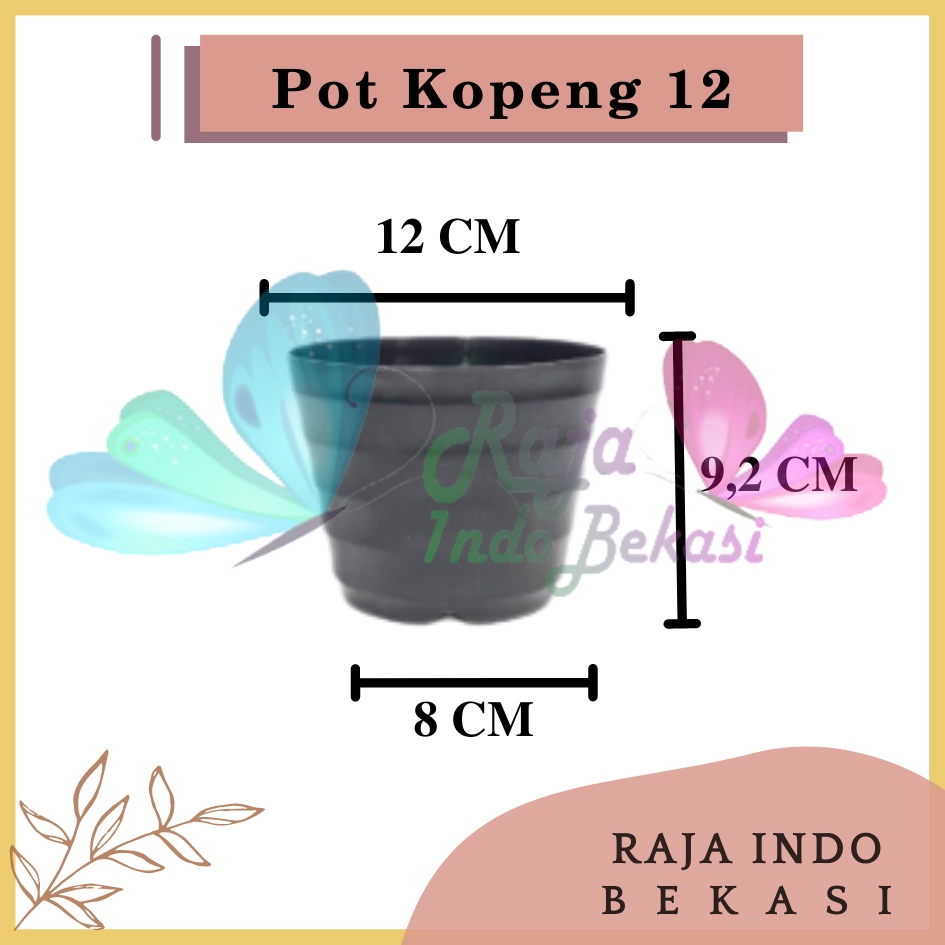 Pot Kopeng 12 Hitam Hitam By Garden Of Love Pot Plastik Mini Kaktus Murah Lucu Mirip Pot Tawon 12