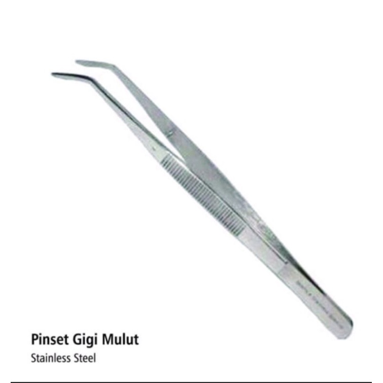 Pinset Gigi Stainless