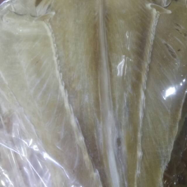 

Ikan Pare burung 250gr(ikan Pare Tipis)
