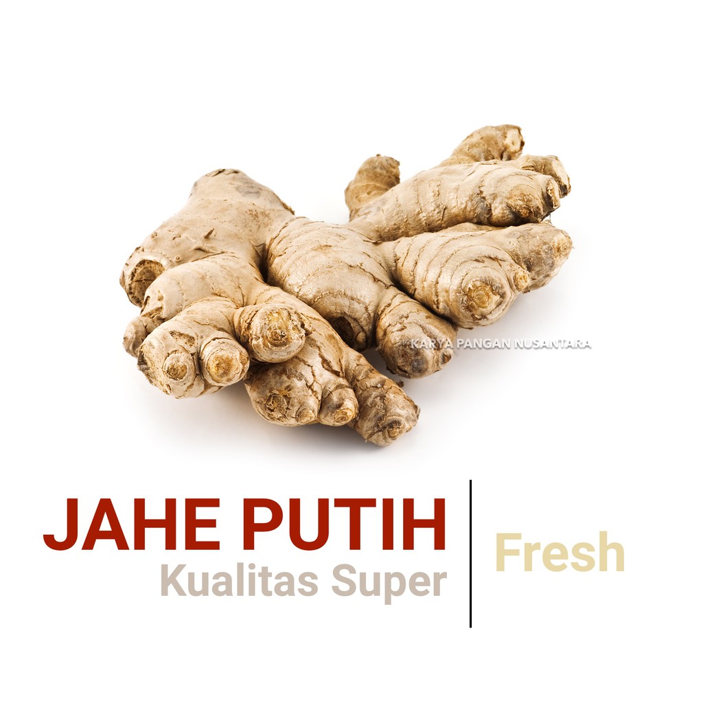 

JAHE PUTIH 100 GR JAHE GAJAH FRESH KUALITAS SUPER PACK 100 GRAM