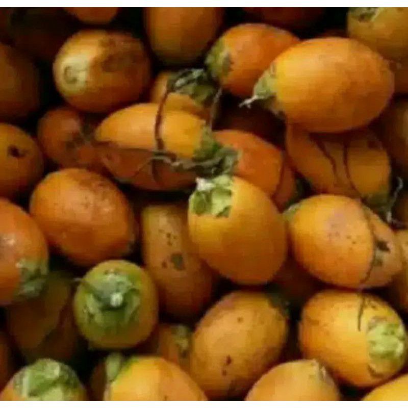 

Buah pinang tua (500g)