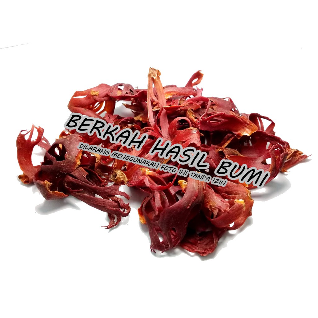 

Bunga Pala Merah Termurah Terbaik 100% 50Gram