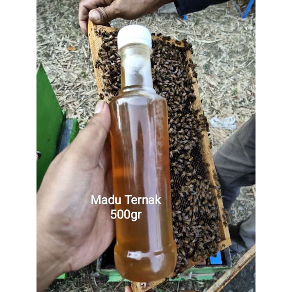 

Madu Murni Melifera 500gr