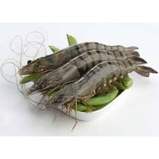 

Termurah / "Udang Black Tiger / Pancet / Bago Fresh / Terlaris