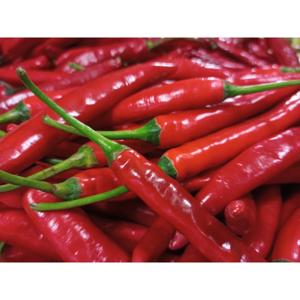 

Cabe / Cabai Merah Besar | TW | 500gr | 1Kg