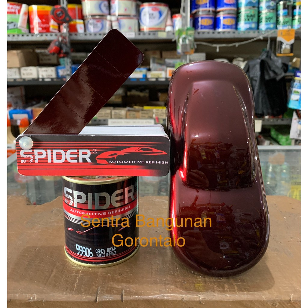 Cat spider candytone brown SP99906