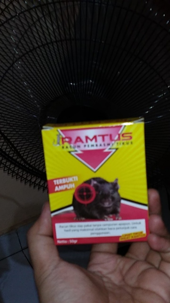 Racun Tikus Ramtus Asli Alami Mati Kering Tidak Bau Pembasmi Pengusir Tikus Super Paling Ampuh 3pack