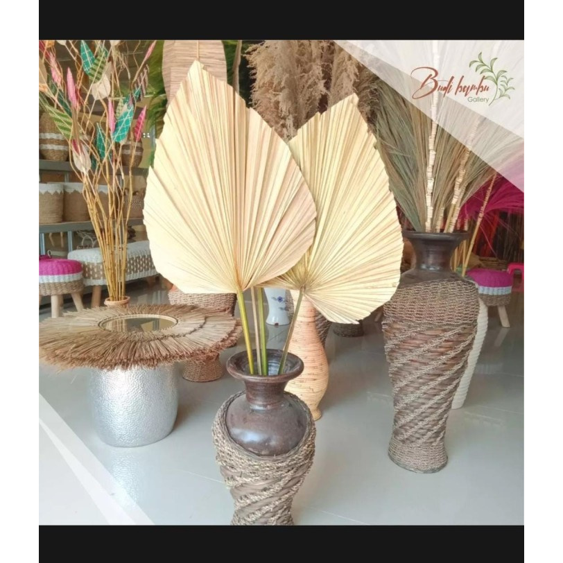 PROMO DAUN PALEM KERING HIASAN DAUN PALEM RUSTIC UKURAN M MURAH