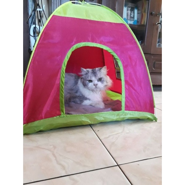 Tenda Untuk Kucing dan Anjing 50x50cm