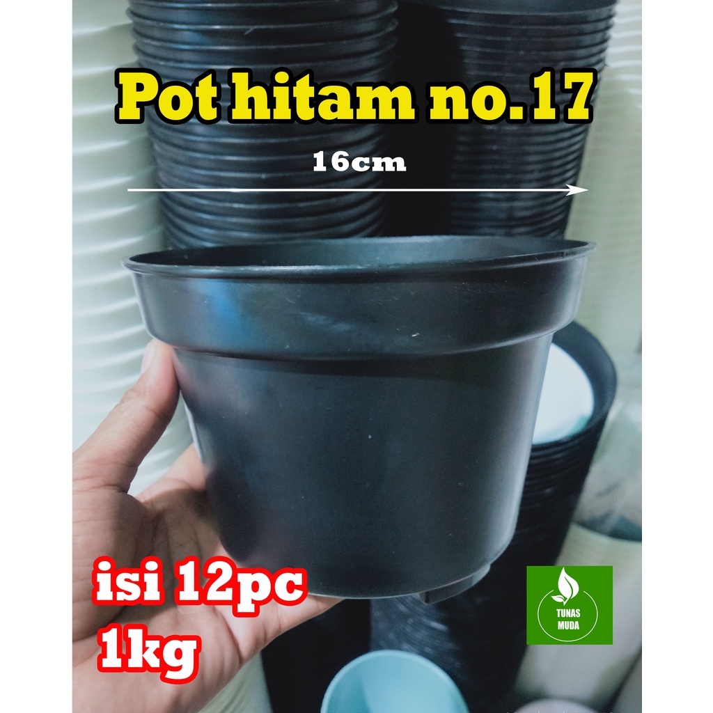 POT BUNGA MURAH ISI 1LUSIN BERAT 1KG. POT HITAM 17 MURAH/ POT BUNGA HITAM /POT TANAMAN