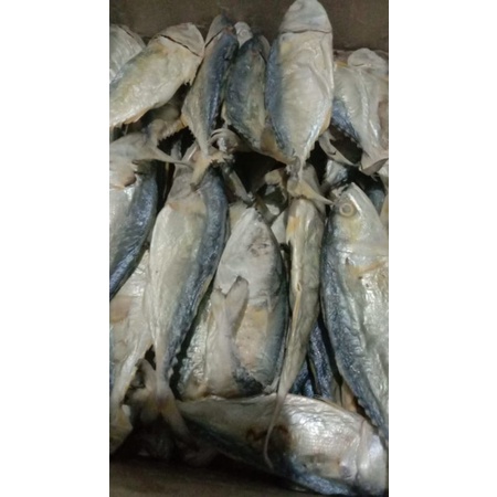 

ikan gembung asin/peda
