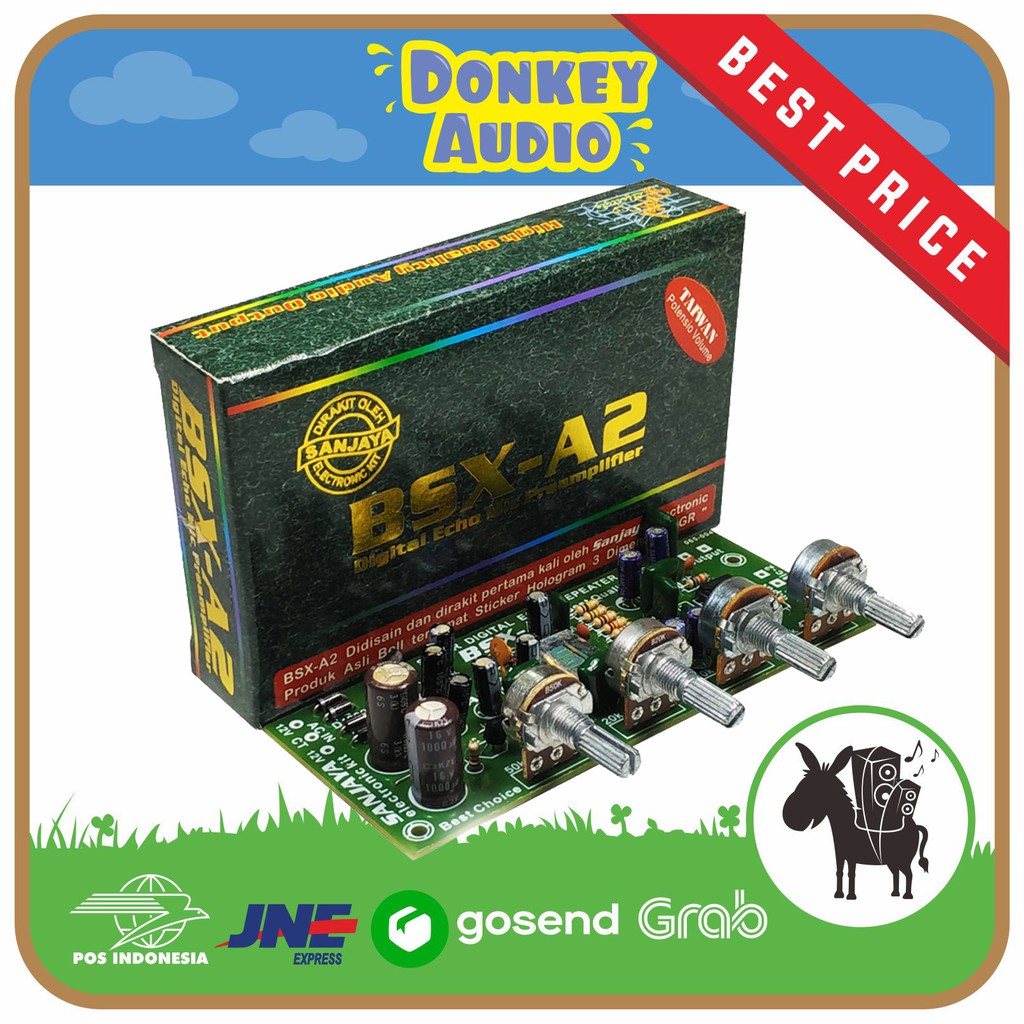 KIT TONE CONTROL ECHO PLUS MIC BSX A2 BELL BGR dengan IC PT2399 Dual Mic Input dan Distorsi Rendah T