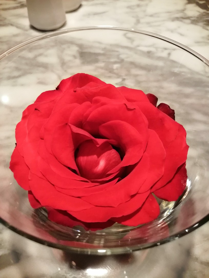 Pompa Tabung Bestway 12 Inchi - Pompa Kasur Angin - Pompa Kolam Renang - Pompa Ban Renang