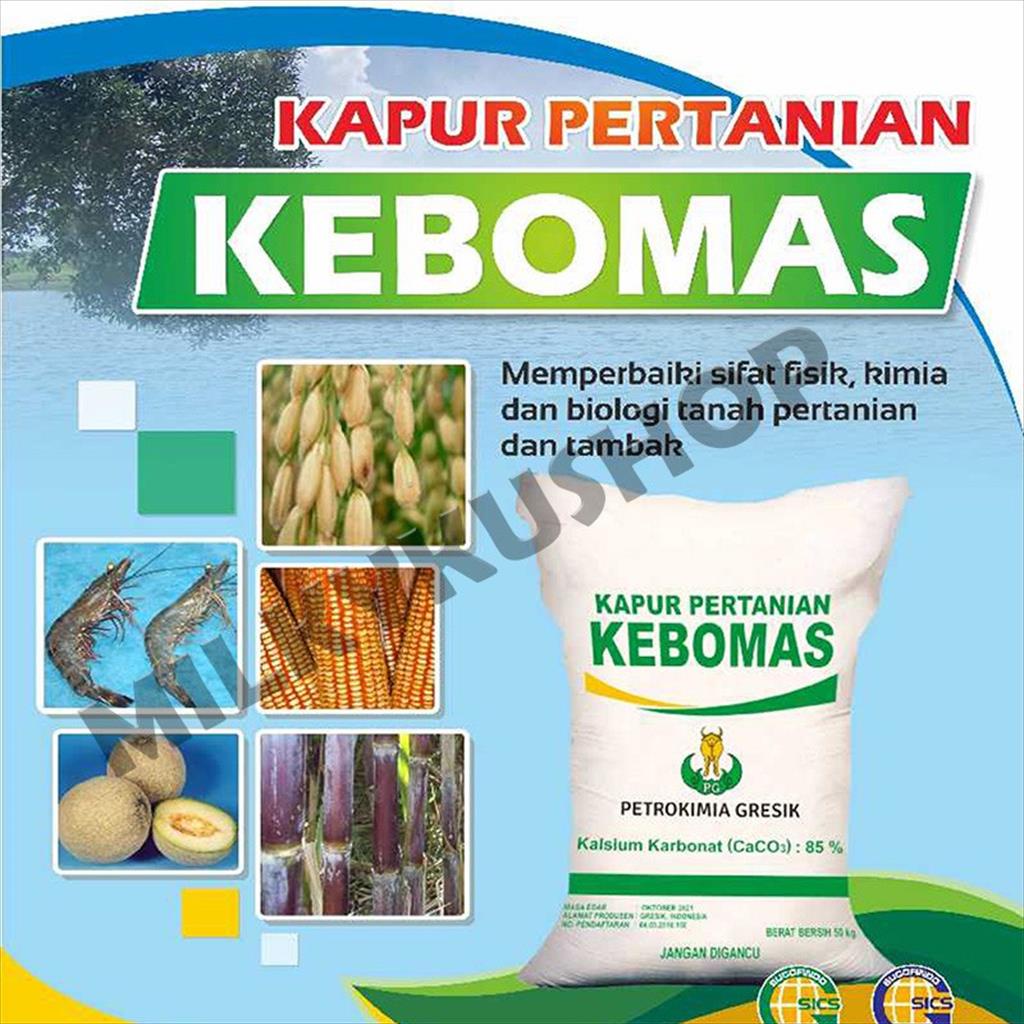 PUPUK KAPUR PERTANIAN KAPTAN DOLOMIT DOLOMITE KEBOMAS ALAS GECKO REPACK 1 KG
