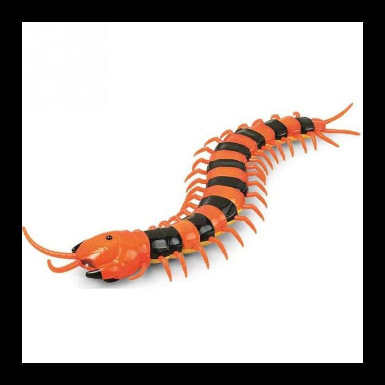 STOK BARU MAINAN PRANK LIPAN KELABANG DENGAN REMOTE CONTROL RC - MULTI WARNA MAINAN TERLARIS DAN