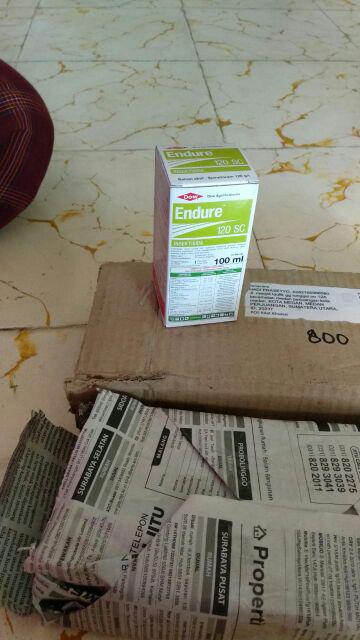 Insektisida Endure 120 Sc 100 Ml