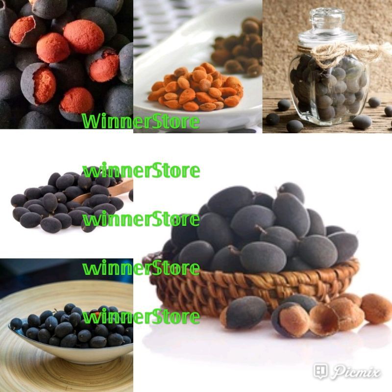 

Buah Asam Kranji Keranji (1 Buah)