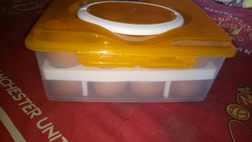 Box Telur Isi 24 Butir Tempat Penyimpan Telur Handle