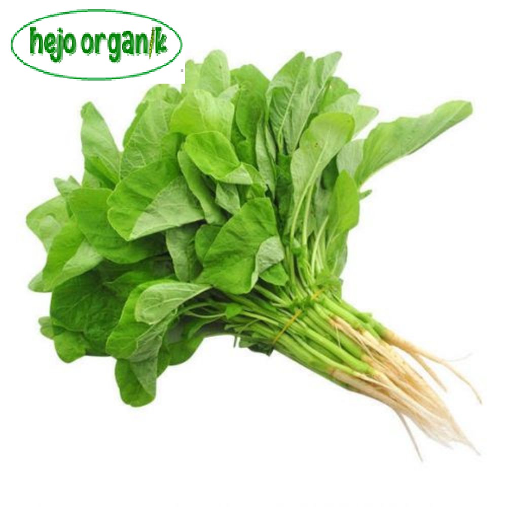 

PROMO BAYAM HIJAU FRESH SAYUR ORGANIK SEGAR BANDUNG BEBAS PESTISIDA BEBAS GMO