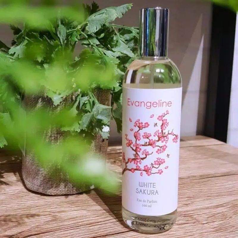 Parfum Evangeline White Sakura 100 ml