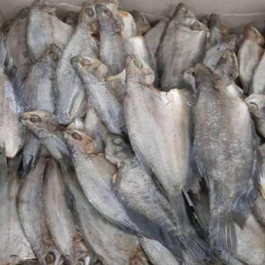 

[COD] IKAN ASIN SEPAT [COD]
